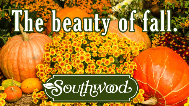 Southwood Landscape and Garden Center