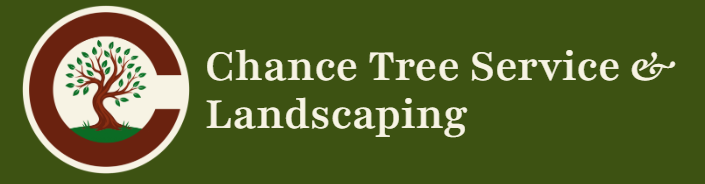 T&T Tree Service & Landscape